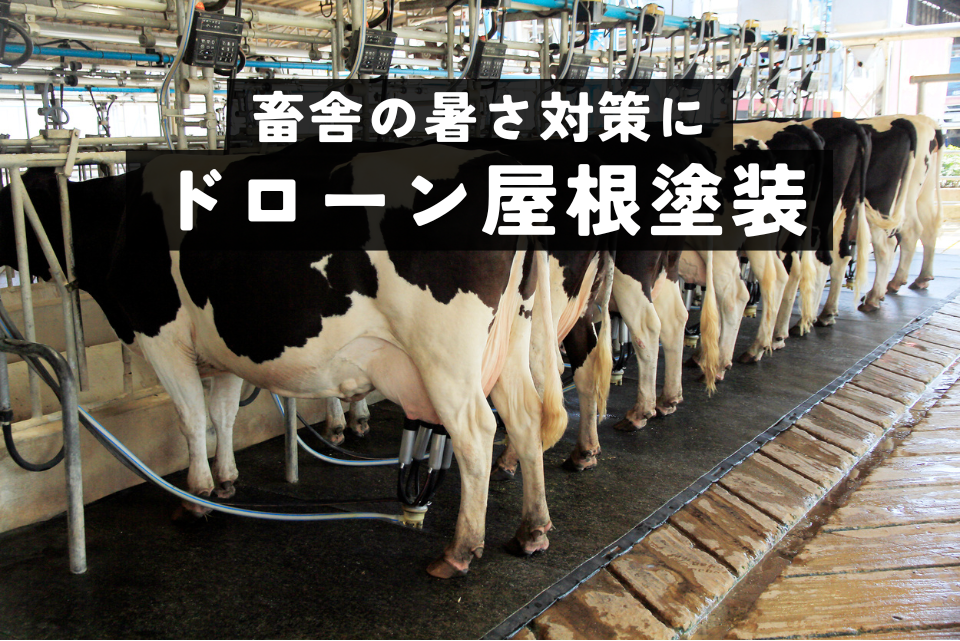 畜舎の屋根塗装
